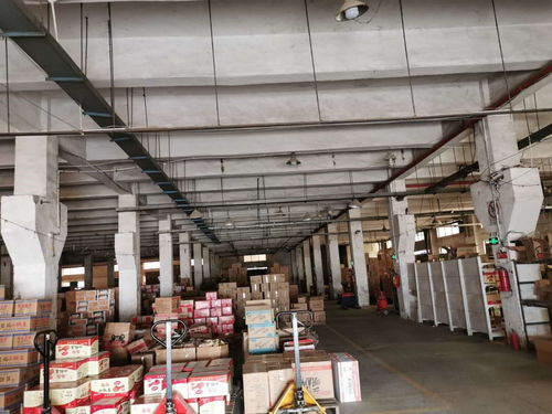 深圳市工廠樓板承重檢測與規范報告技術服務